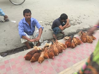 street market selling chickens