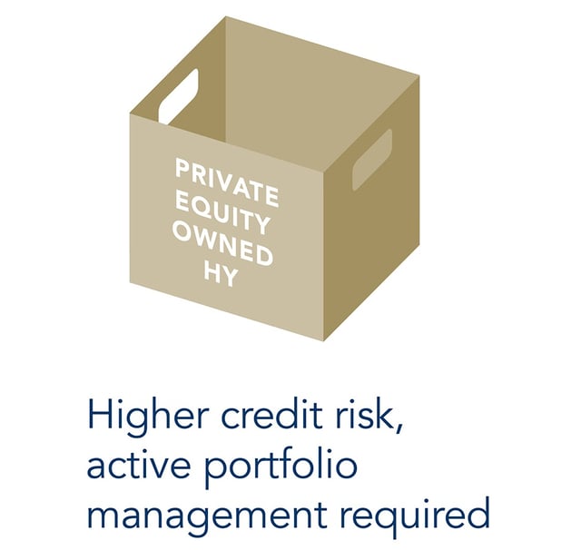 The third box with text "private equity owned HY"