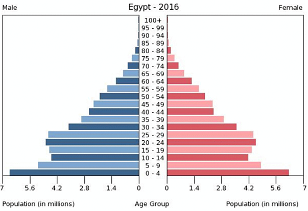 Egypt population pyramid visualized